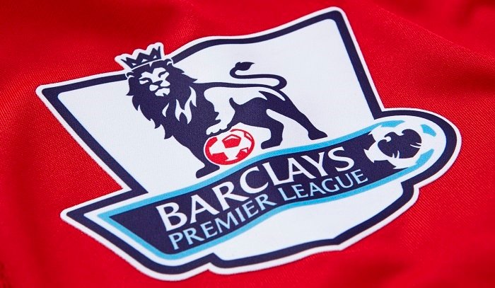 Premier League sleeve badge PRO S